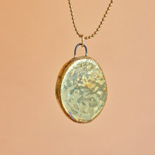 Load image into Gallery viewer, platypus | CHARM with gold