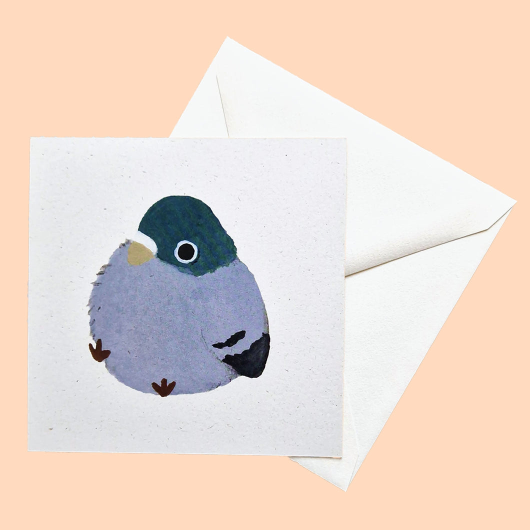 round pigeon | Postcard